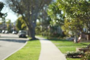 Empty street in a quiet neighborhood